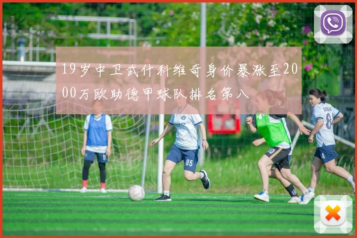 19岁中卫武什科维奇身价暴涨至2000万欧助德甲球队排名第八